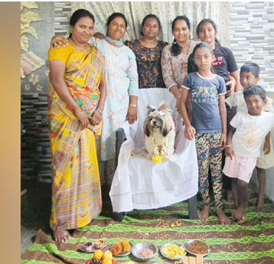நெகிழ்ச்சி... சந்தனம், குங்குமம், சீர்வரிசை தட்டுகளுடன் வளர்ப்பு நாய்க்கு வளைகாப்பு!