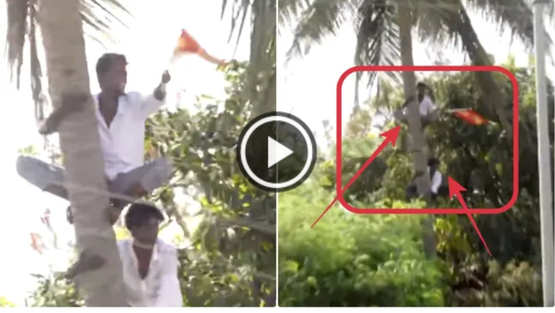 விஜய்யைப் பார்க்க தென்னை மரத்தில் ஏறிய ரசிகர்கள் ... பெரும் பரபரப்பு!