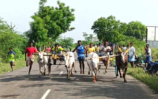 சீறிப் பாய்ந்த மாட்டு வண்டிகள்... விளாத்திகுளத்தில் எல்கை பந்தயம்!