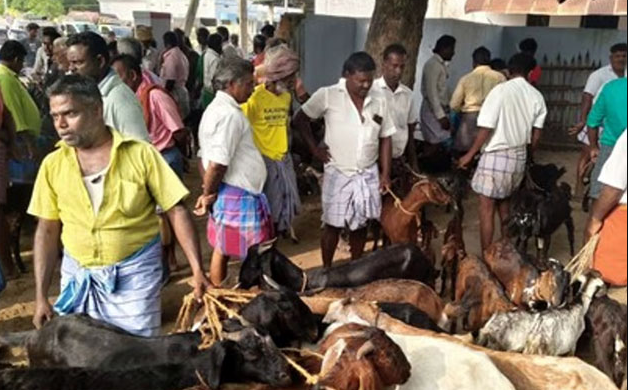 ஆர்வமுடன் குவிந்த மக்கள்.... ஆட்டு சந்தையில் ரூ.1 கோடிக்கு ஆடுகள் விற்பனை!