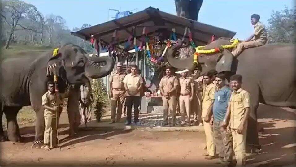 டாப் ஸ்லிப்பில் களைகட்டிய 'யானை பொங்கல்' - சுற்றுலா பயணிகள் உற்சாகம்!