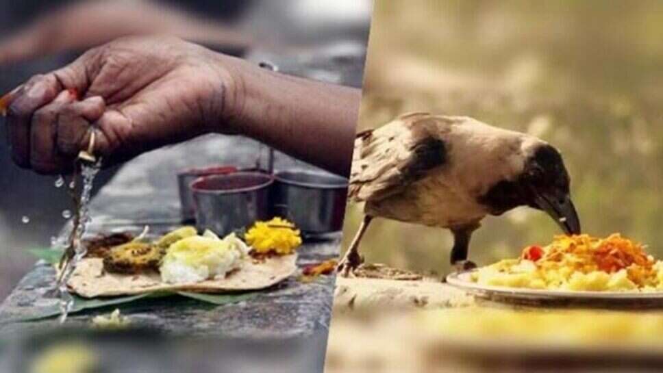 அமாவாசை