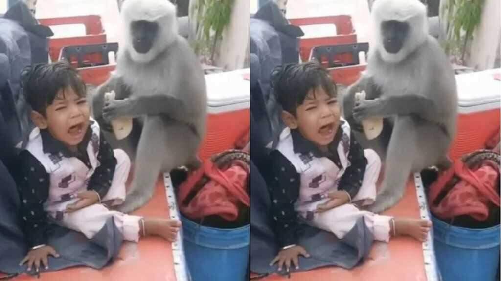 பகீர் வீடியோ... ரொட்டியை பறித்து சாப்பிடும் குரங்கு… கதறி அழுத குழந்தை... கண்டு கொள்ளாமல் வீடியோ எடுக்கும் தந்தை!