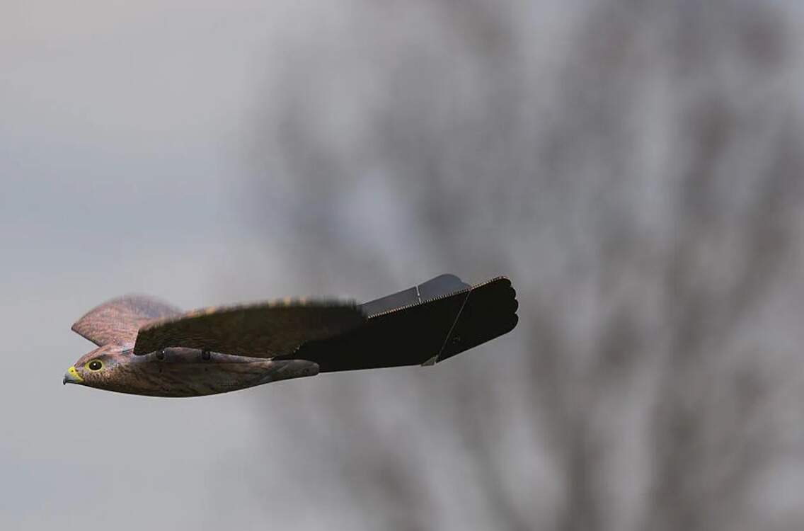 அசத்தல்... விமான நிலைய ரன்வே பகுதிகளில் பறவைகளை துரத்த 'தண்டா் பூம்ஸ் கருவி'!