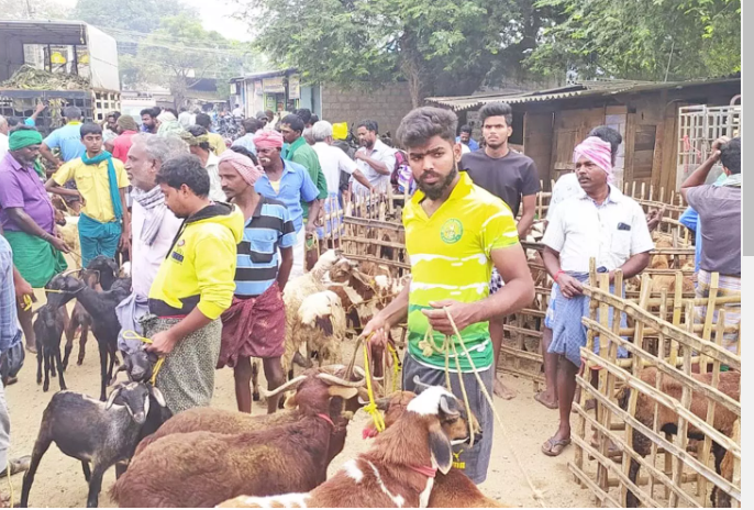 பொங்கல் முன்னிட்டு ரூ.1.5 கோடிக்கு ஆடுகள் விற்பனை!