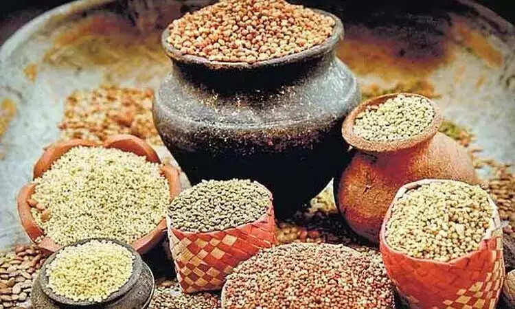 உணவு தானியங்கள்