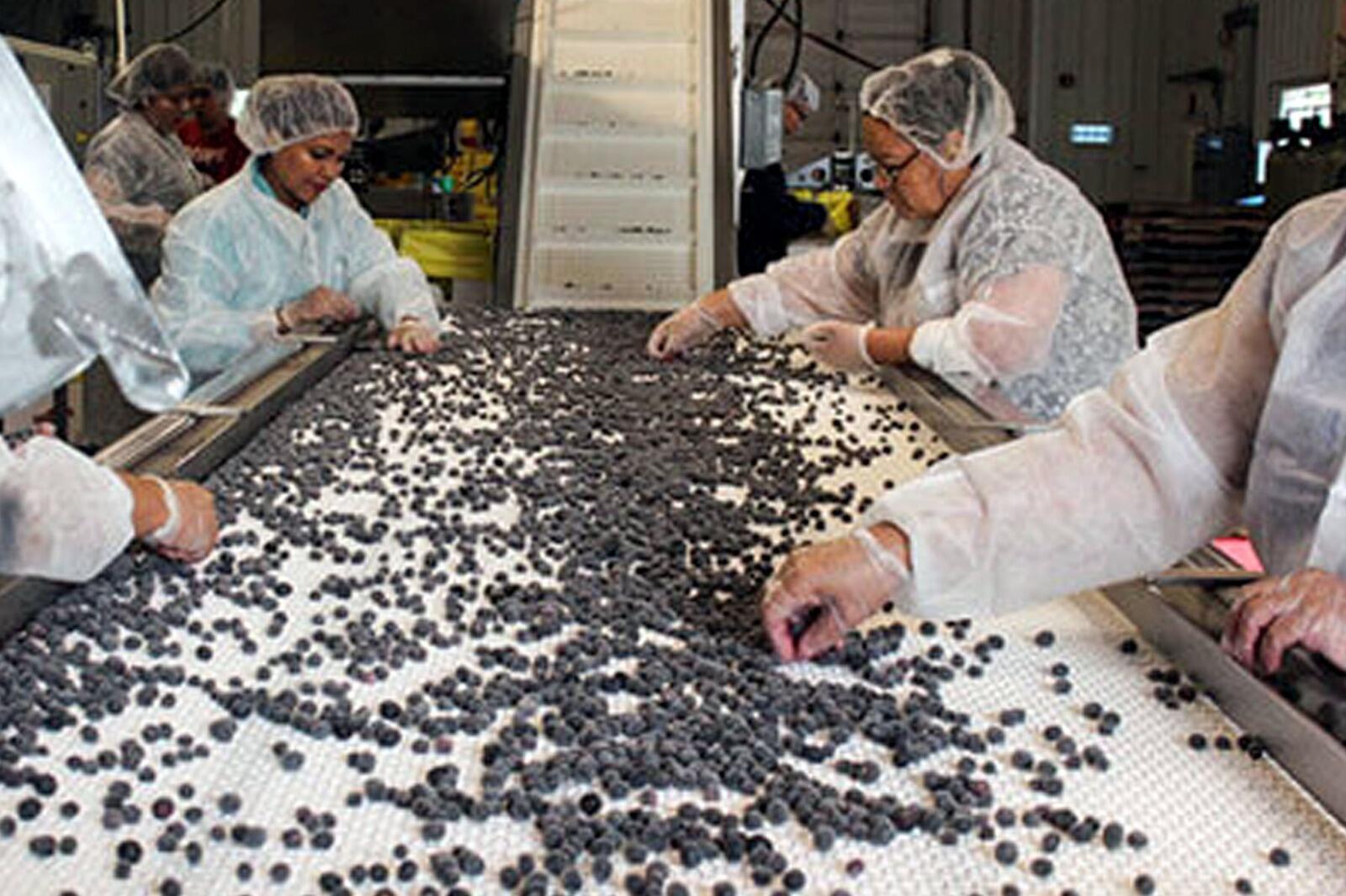 மல்டிபேக்கர் பங்கு: 3 ஆண்டுகளில் ஒரு லட்சத்திலிருந்து ரூ.71 லட்சம்... 7000% வருமானம் !