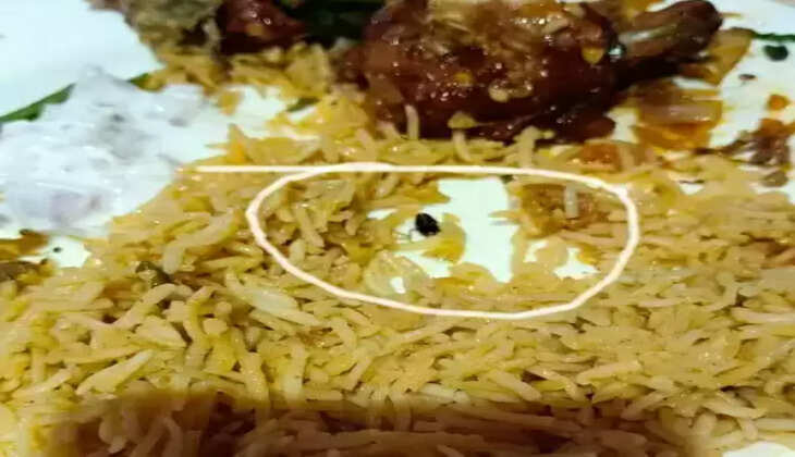 மட்டன் பிரியாணி கரப்பான்பூச்சி