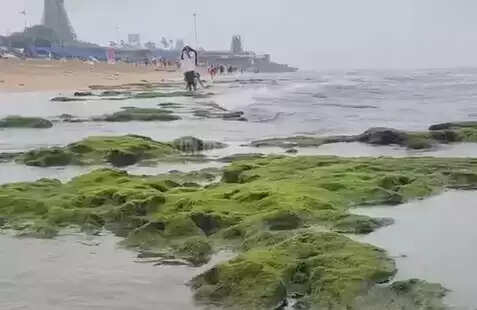 திருச்செந்தூர்