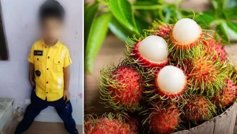 நெல்லையில் அதிர்ச்சி... ரம்புட்டான் பழம் சாப்பிட்ட 5 வயது சிறுவன் மரணம்!