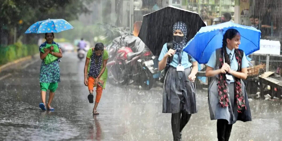 நீலகிரியில் கனமழை.. பள்ளி, கல்லூரிகளுக்கு விடுமுறை... மலை ரயில் ரத்து!