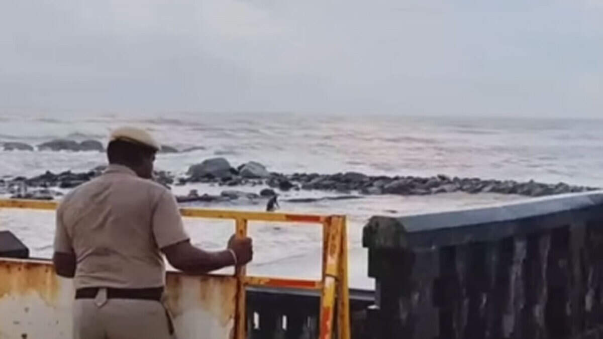 கன்னியாகுமரி குமரி கடற்கரை கடற்சீற்றம்