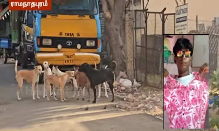தமிழகத்தில் அடுத்தடுத்து அதிர்ச்சி... தெருநாய் கடித்ததில் 17 வயது மாணவன் உயிரிழப்பு!