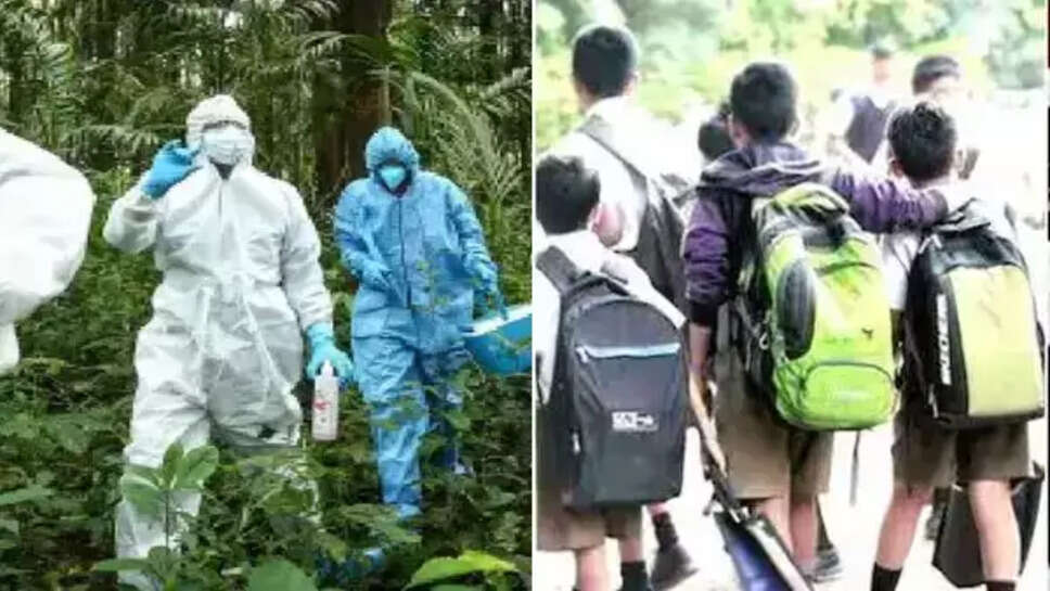 நிஃபா வைரஸ்