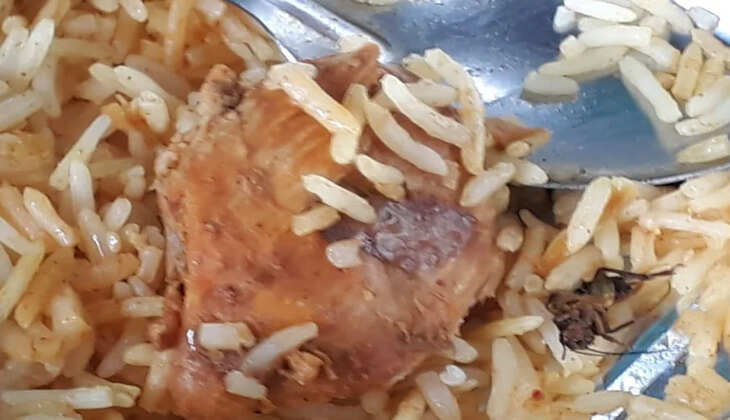 பிரியாணியில் கரப்பான்பூச்சி