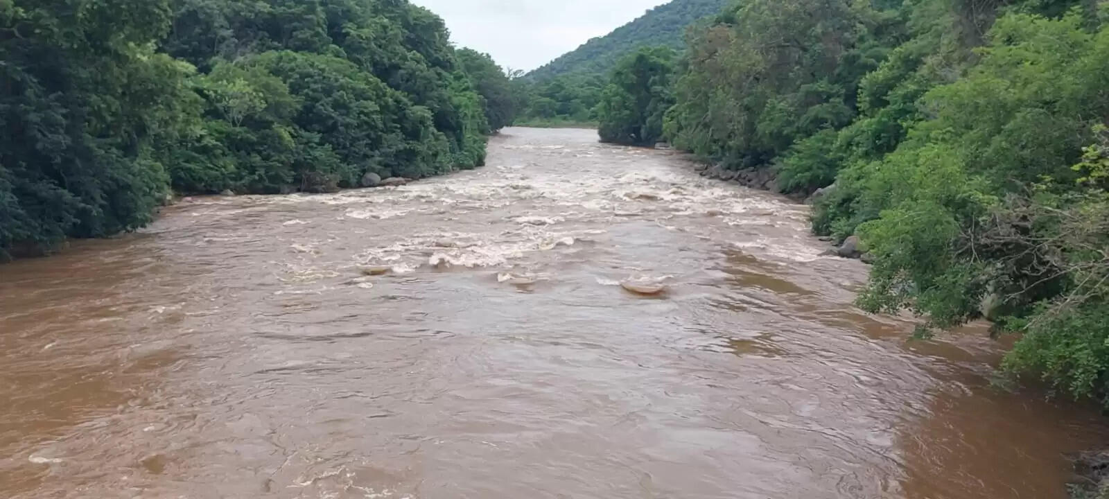 கனமழை: பவானி ஆற்றில் வெள்ள அபாய எச்சரிக்கை; பில்லூர் அணை நிரம்பியதால் மதகுகள் வழியே தண்ணீர் வெளியேற்றம்!