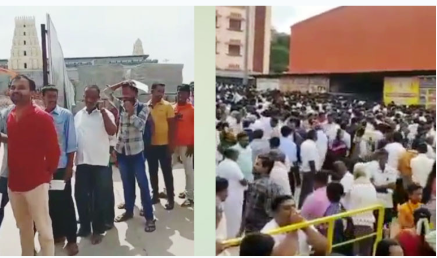 230 பேருக்கு 14000 மணமகன்கள்!! வரன் பார்க்கும் நிகழ்வில் அமர்க்களம்!!