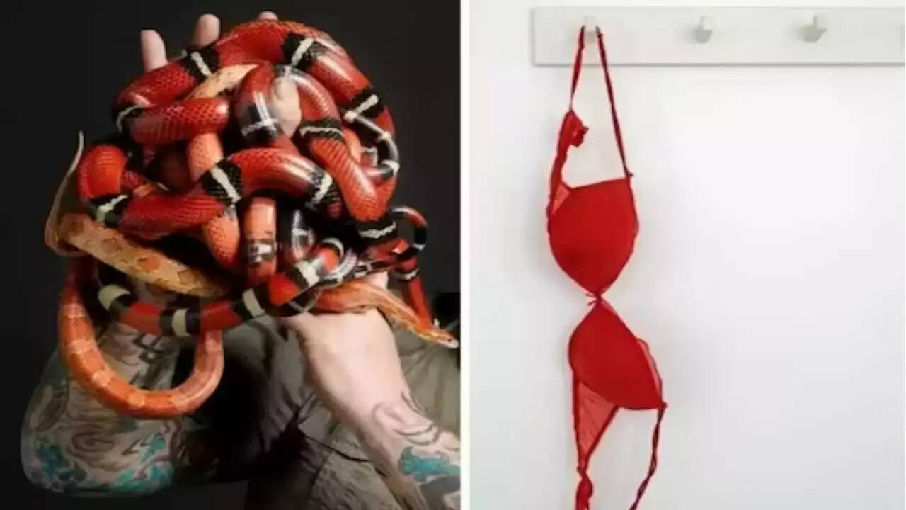 அதிர்ச்சி... பெண்ணின் உள்ளாடைக்குள் 5 பாம்புகள்.. துணிச்சலாக கடத்திச் சென்ற பகீர் சம்பவம்!