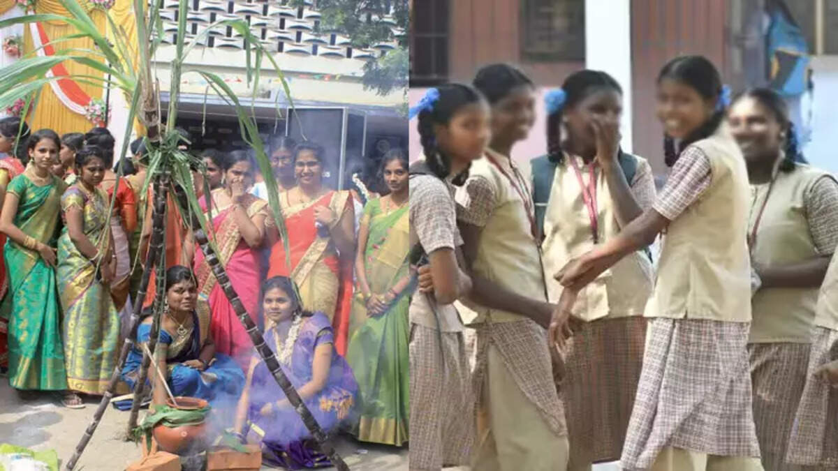 பொங்கல்