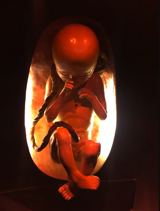 அடப்பாவிங்களா... சாக்கடையில் தொப்புள் கொடியுடன் ஆண் குழந்தை....!