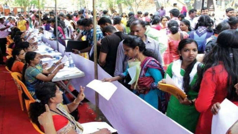 வேலை வாய்ப்பு முகாம்