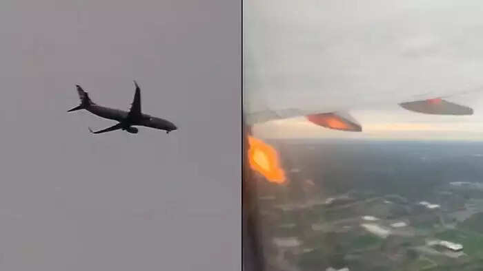 நடுவானில் தீப்பிடித்து பற்றி எரிந்த விமானம்.. பறவை மோதியதால் அவசரமாக தரையிறங்கியது..அதிர்ச்சி வீடியோ!