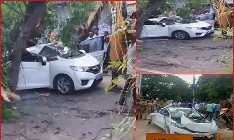 மரம் விழுந்ததில் வங்கி பெண் மேலாளர் பலி!! சென்னையில் பரிதாபம்!!