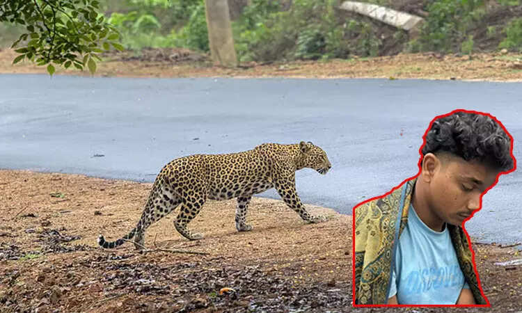 தாய் மீது பாய்ந்ததால் ஆத்திரம்... சிறுத்தை புலியை கைகளாலேயே அடித்து கொலை செய்த இளைஞர்!