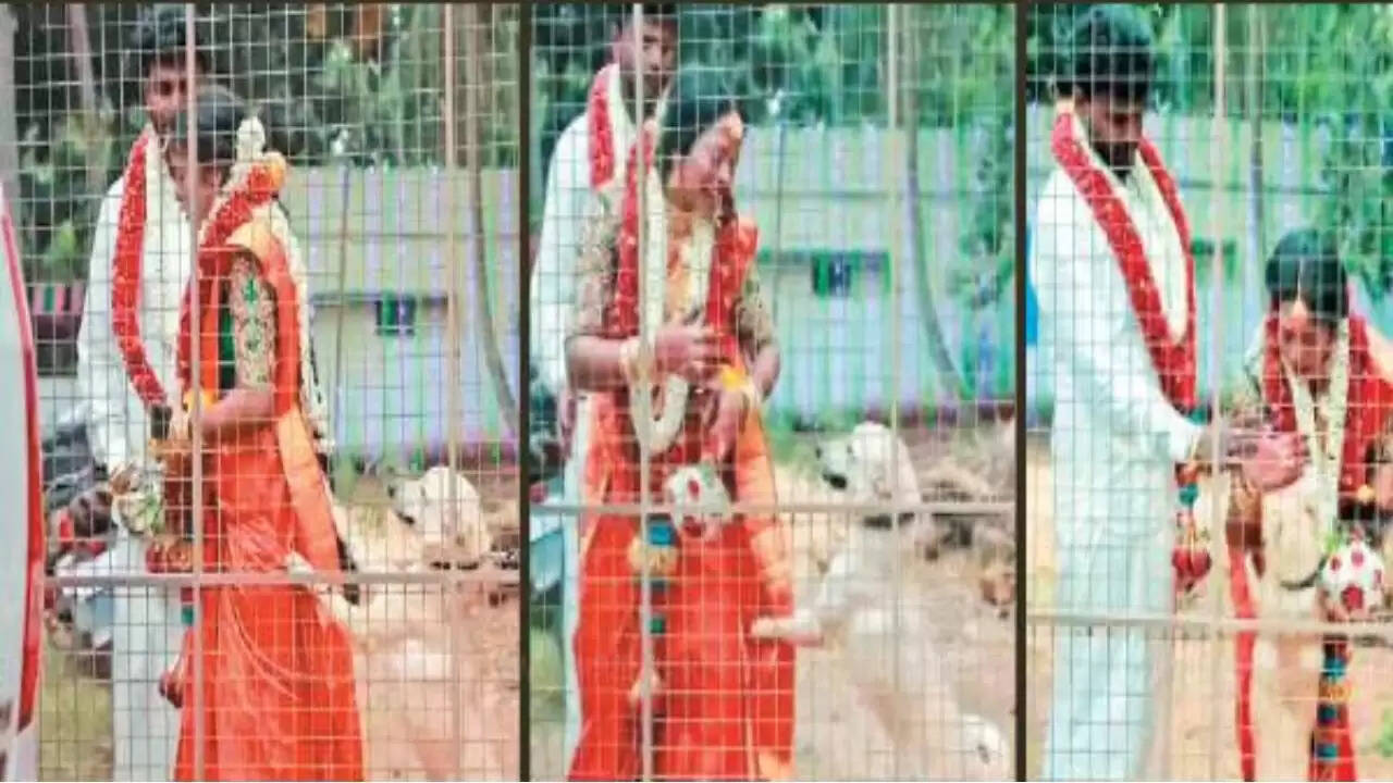 நெகிழ்ச்சி வீடியோ!! மணப்பெண்ணை பிரிய மறுத்து கண்ணீர் விட்டு கதறி அழுத நாய்!!