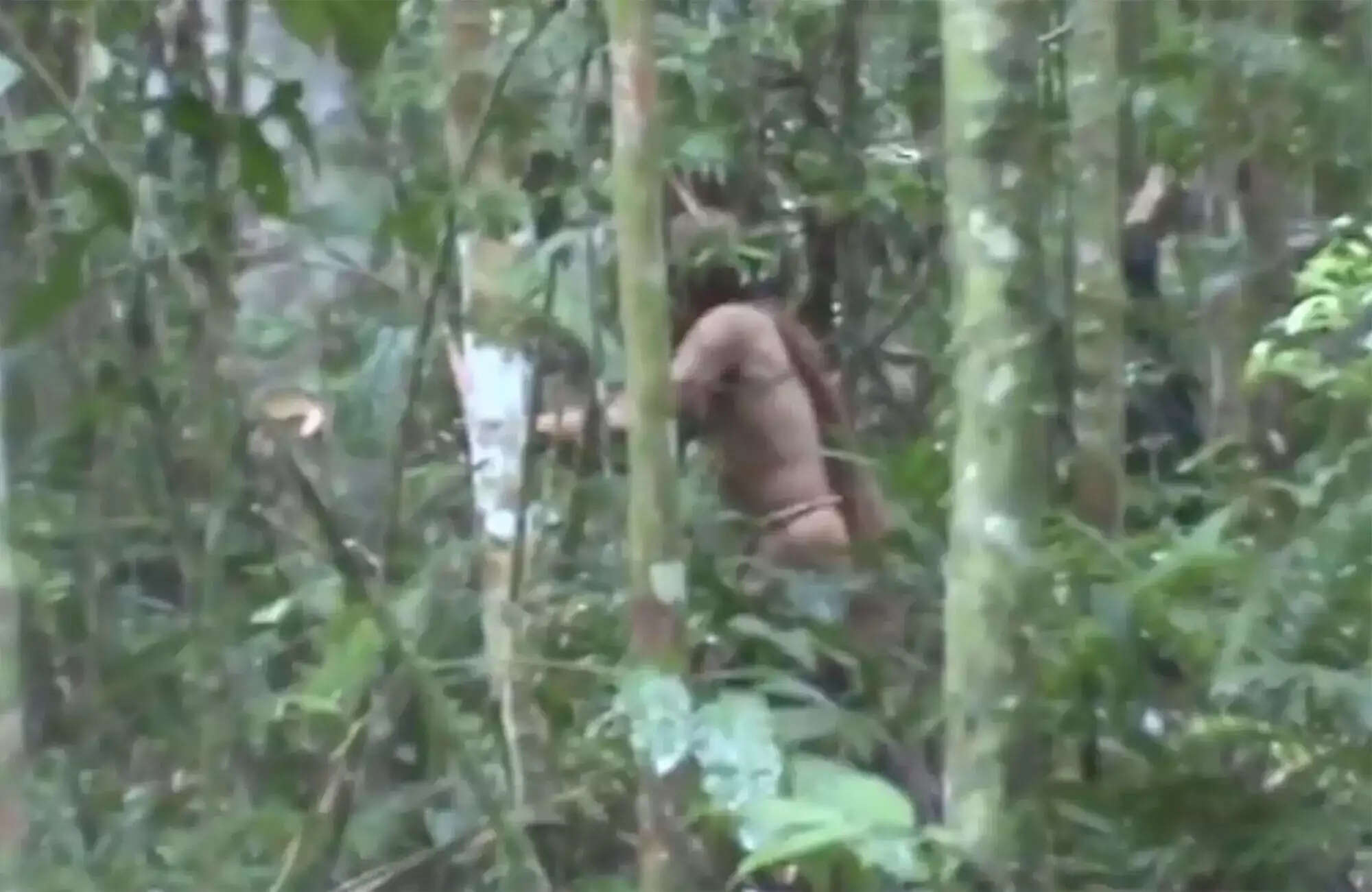 சோகம்!! 26 ஆண்டுகள் தனியாக வாழ்ந்து வந்த அமேசான் பழங்குடியின மனிதன் மரணம்!!