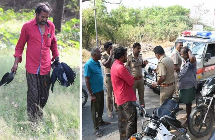 ‘கோவையில் காக்கா பிரியாணி!? கொத்து கொத்தாக காகங்களை கொன்ற நபர் பரபரப்பு வாக்குமூலம்!
