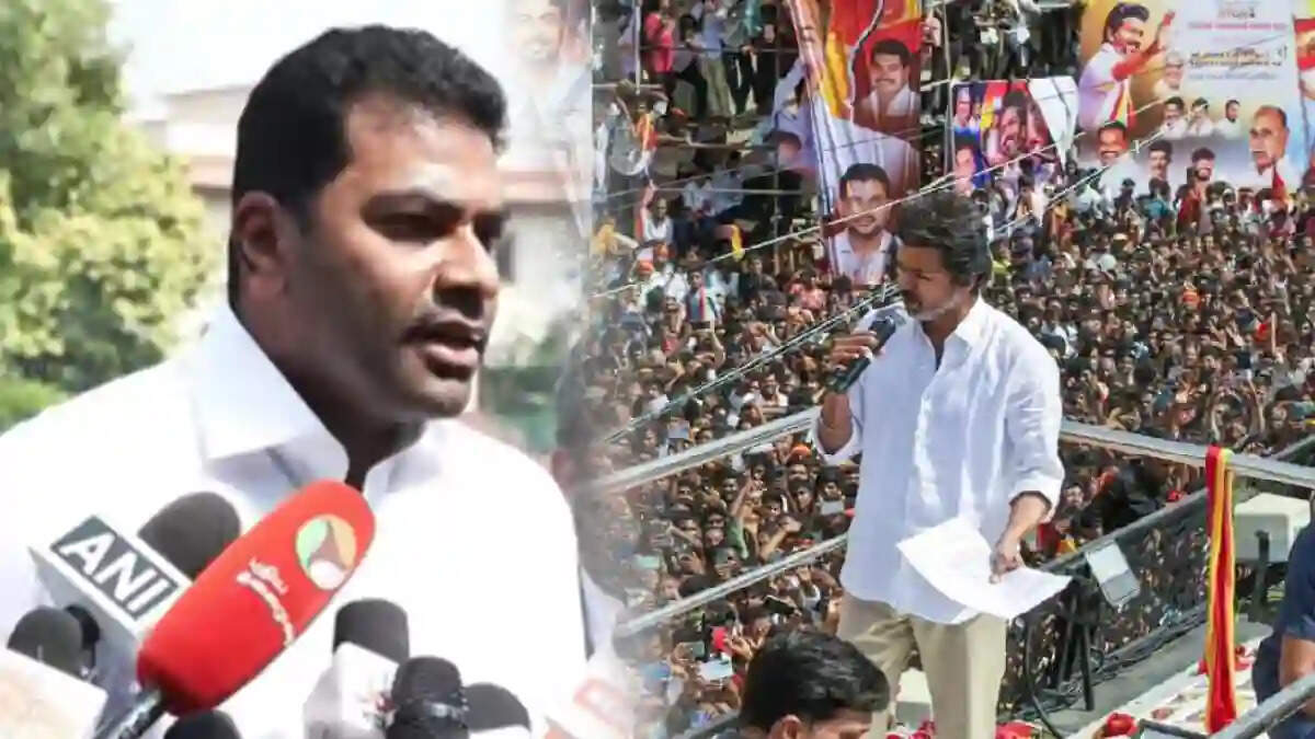 41 குடும்பங்களையும் விஜய் தத்தெடுக்க உள்ளார்... ஆதவ் அர்ஜுனா பிரஸ் மீட்!