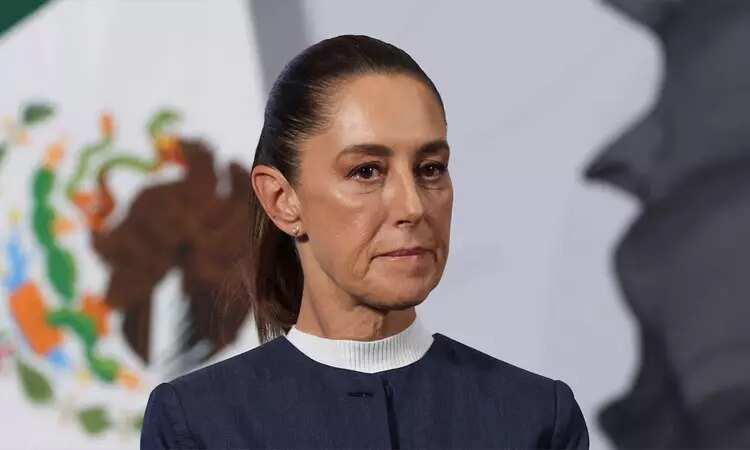 மெக்சிகோ பெண் அதிபருக்கு பாலியல் தொந்தரவு... இளைஞர் கைது!