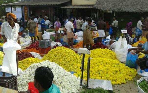 கிடுகிடு உயர்வு!! பொங்கலை முன்னிட்டு உச்சம் தொட்ட பூக்கள் விலை!!