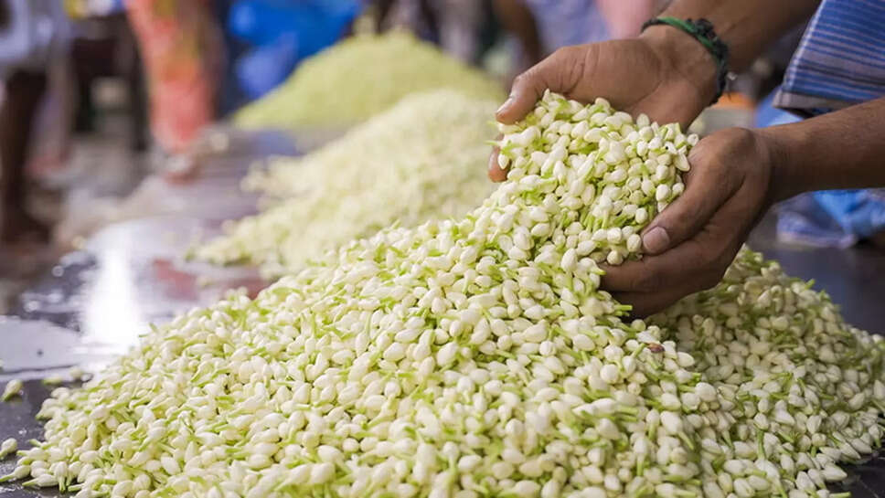 மல்லிகை மல்லிப்பூ பூ சந்தை