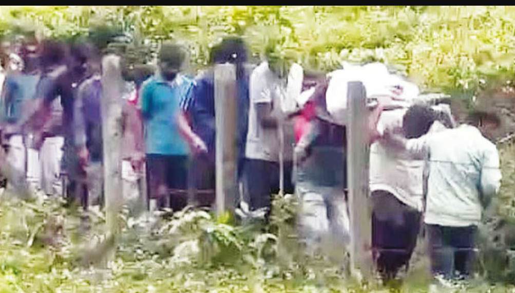 அவலம்... சாலை வசதி இல்லாததால் தொட்டில் கட்டி நோயாளிகளைச் சுமக்கும் மக்கள் !