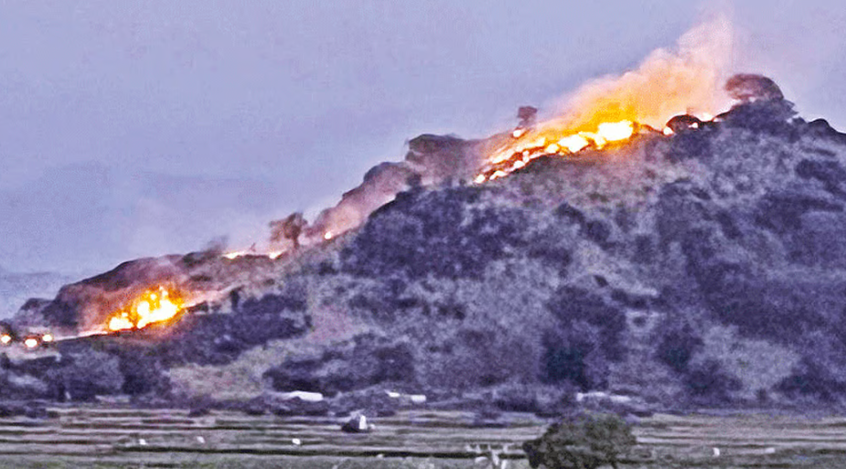 தென்காசி மலைப்பகுதியில் காட்டுத்தீ... அரிய வகை மூலிகை மரங்கள் சாம்பலாகும் துயரம் - வனவிலங்குகளின் கதி என்ன?