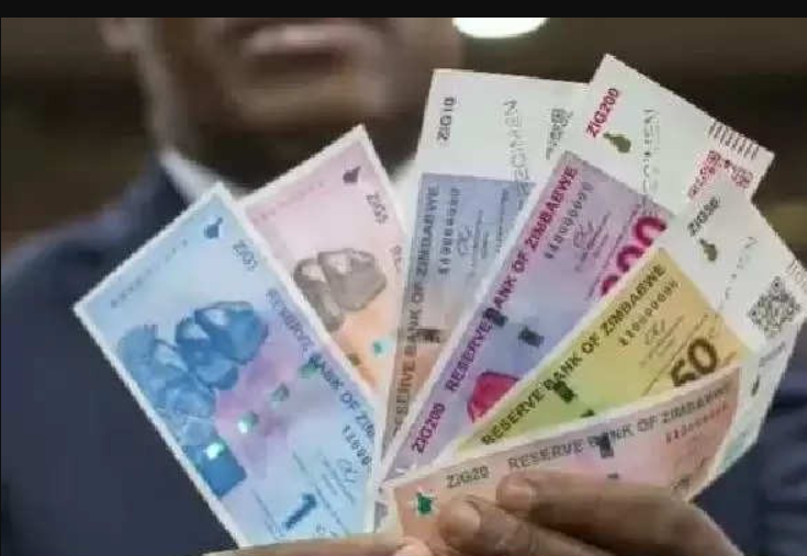 டாலருக்கு பதிலாக ”ஜிக்” புதிய ரூபாய் நோட்டுக்கள்!