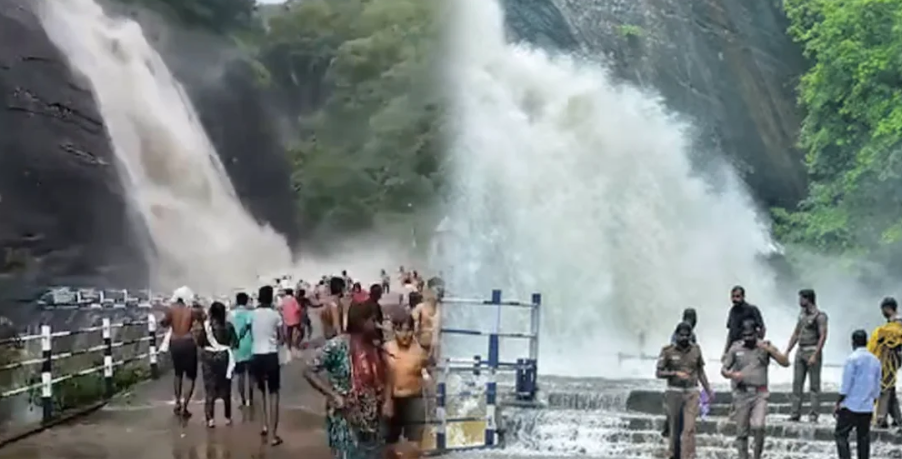 6 நாட்களுக்கு பிறகு குற்றால அருவியில் மீண்டும் குளிக்க அனுமதி...!