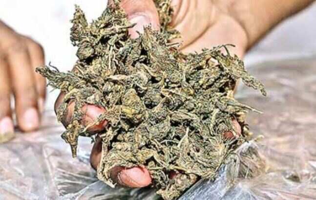 அதிர்ச்சி... கஞ்சா வியாபாரியை மடக்கி பிடித்த இளைஞர்கள்... சமாதானம் பேசி விடுவித்த போலீசார்!