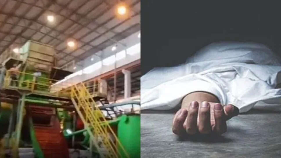 அரவை