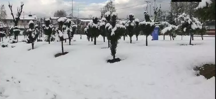 ஜம்மு காஷ்மீரில் கடும் குளிர்... 5.2 டிகிரியாக பதிவு!