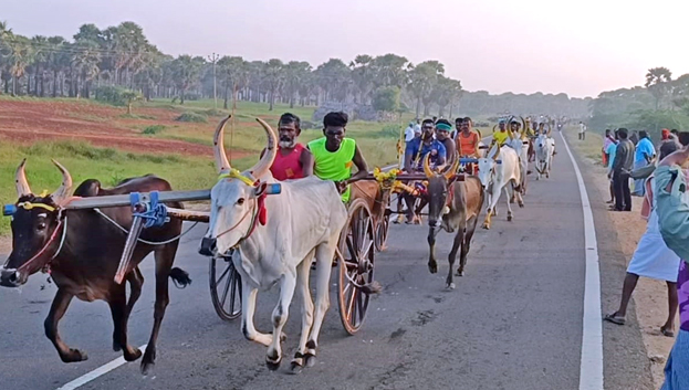 ஆவணி பொங்கல் திருவிழா... மாட்டு வண்டி எல்கை பந்தயத்தில் சீறிப்பாய்ந்த காளைகள்!