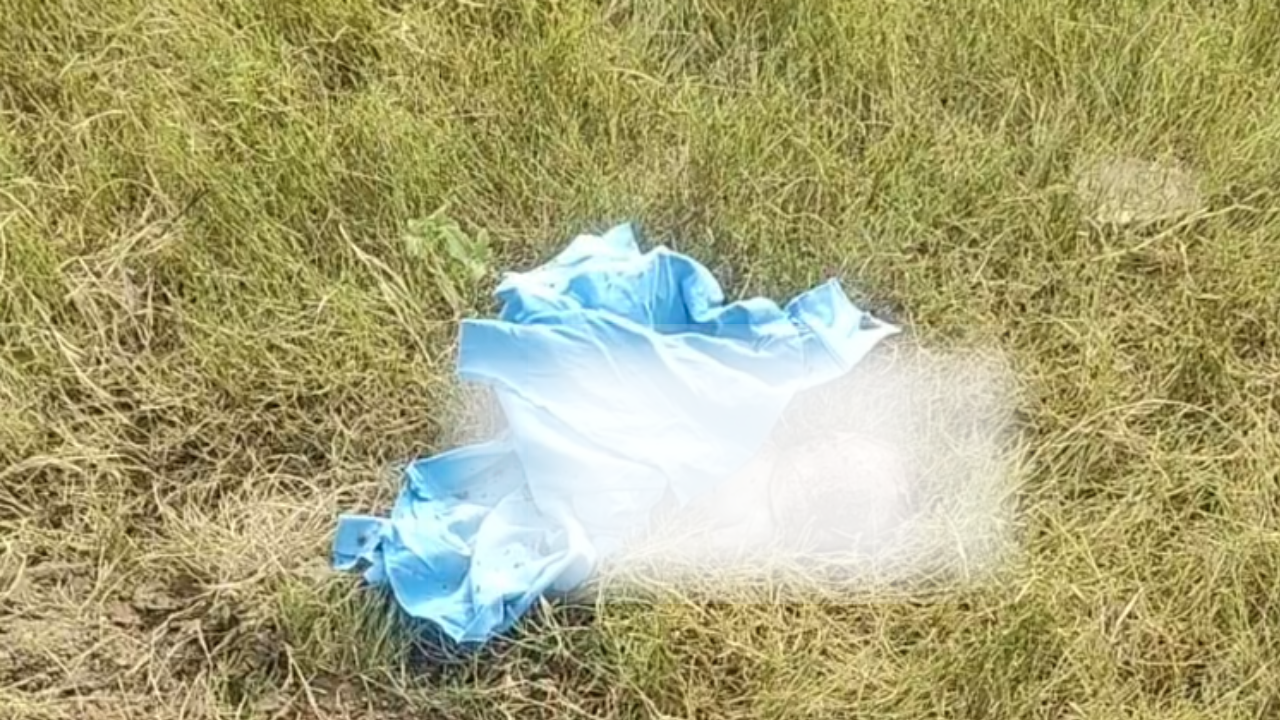 சாலை ஓரத்தில் புதைக்கப்பட்டிருந்த குழந்தை சடலம்.. நாய்கள் கடித்து குதறியதால் பேரதிர்ச்சி..!!