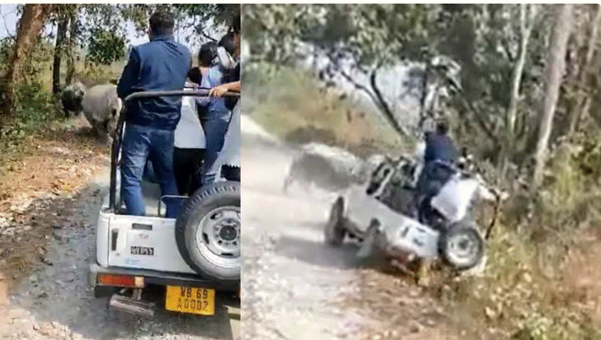 அதிர்ச்சி வீடியோ!! சுற்றுலாப் பயணிகளை துரத்திய காண்டாமிருகம்!!