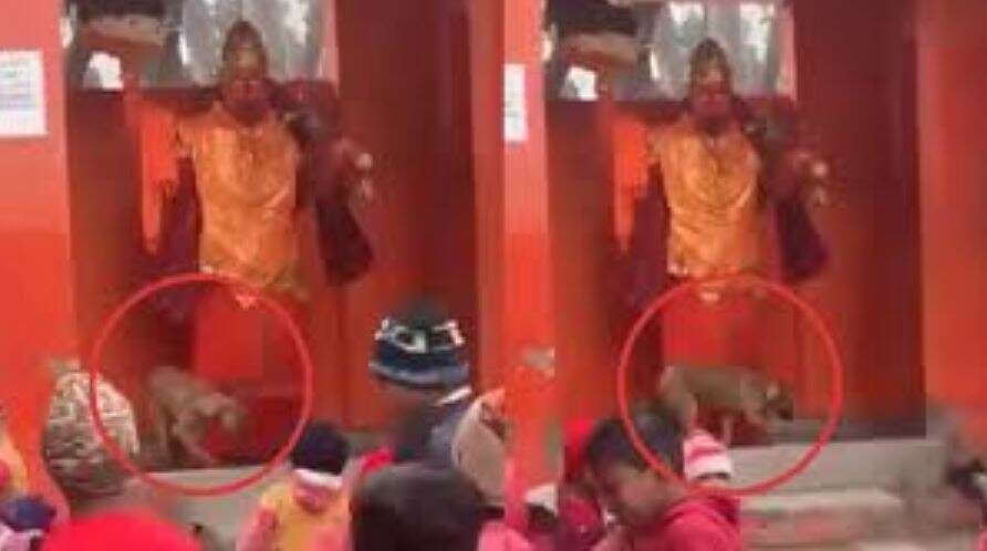 அனுமன் சிலையை 4 மணிநேரம் சுற்றி வந்து வழிபட்ட நாய்.. வைரலாகும் வீடியோ!