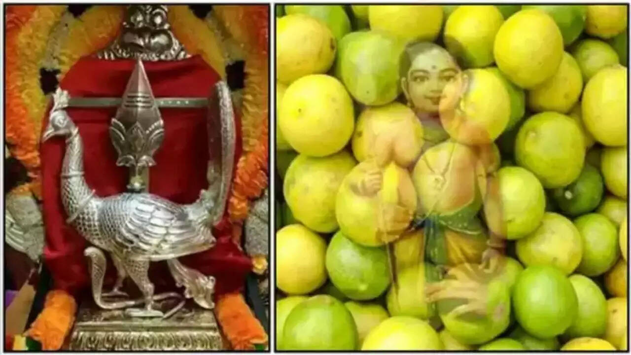 எலுமிச்சை பழங்கள்