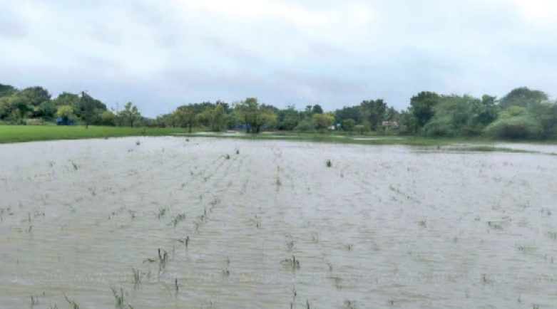 டித்வா புயல் கனமழையால் நீரில் மூழ்கிய 2.10 லட்சம் ஏக்கர் பயிர்கள்... கதறும் விவசாயிகள்!