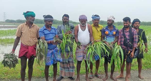 6,000 ஏக்கர் பயிர்கள் சேதம்... இழப்பீடு வழங்க விவசாயிகள் கோரிக்கை!