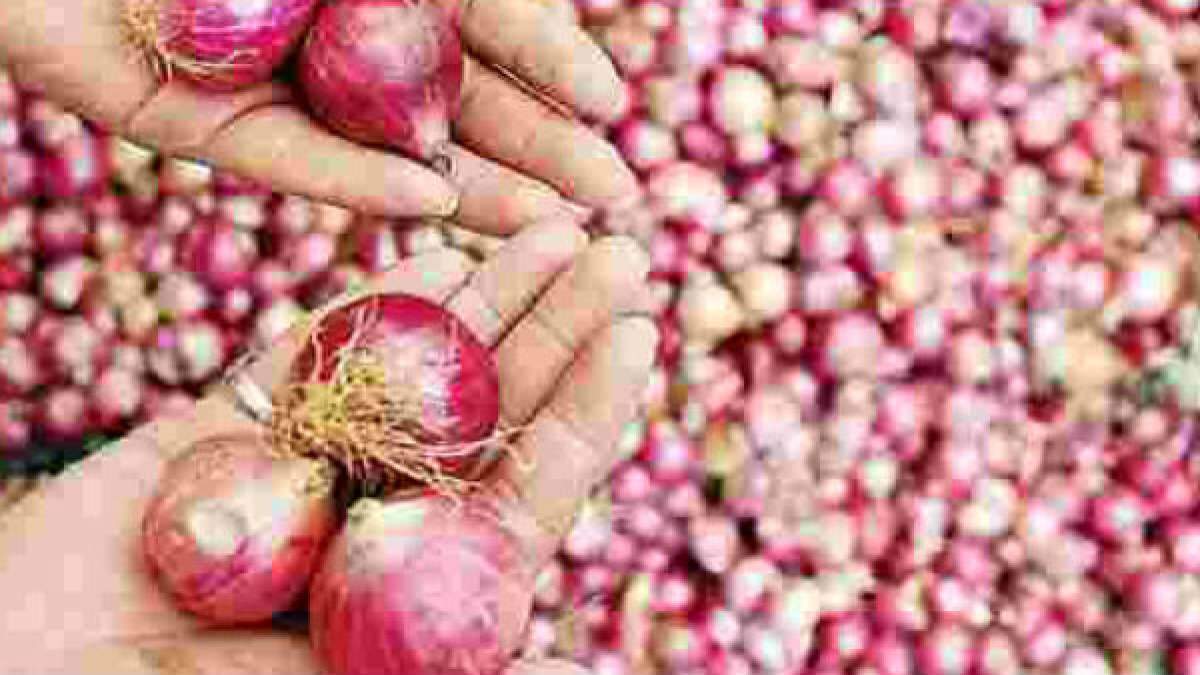 வெங்காயம் விலை அதிரடி குறைவு... இல்லத்தரசிகள் மகிழ்ச்சி!